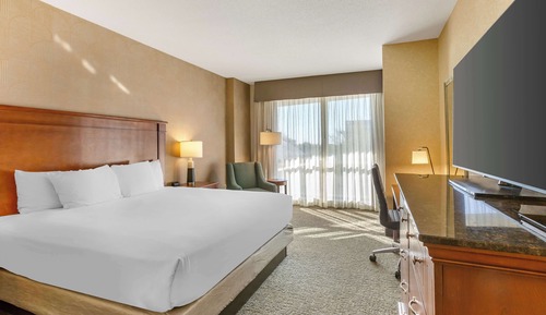 Room, 1 King Bed, Accessible (Roll in Shower)