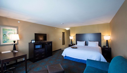 Room, 1 King Bed with Sofa bed