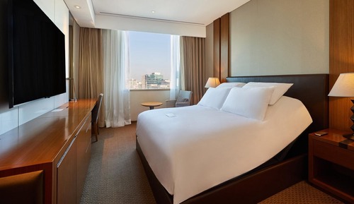Room (SUPEIORO MOTION RELAX (SHOWER BOOTH))