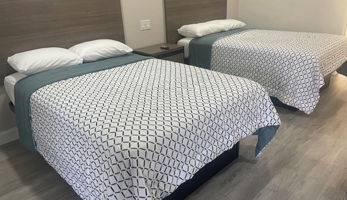 Basic Double Room