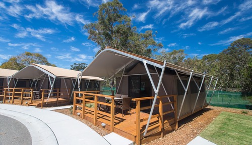 Safari Tent