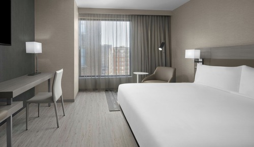Room, 1 King Bed