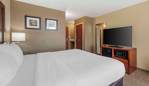 Standard Room, 1 King Bed, Non Smoking