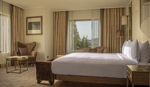 Deluxe Room, 1 King Bed, Park View