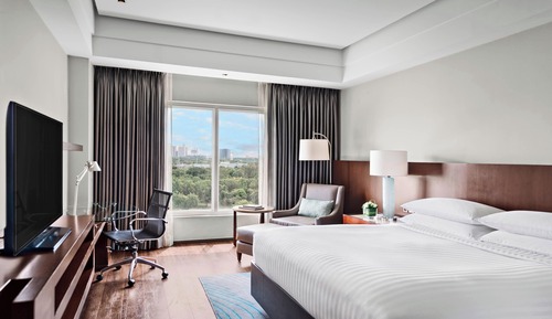 Room, 1 King Bed