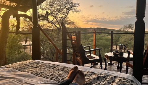 Standard Tree House