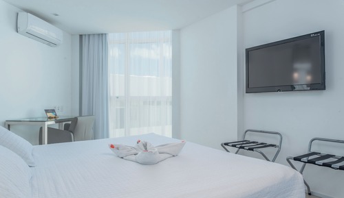 Premium Double or Twin Room
