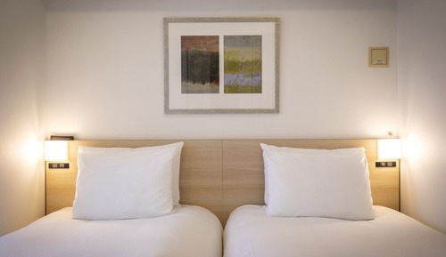 Superior Double or Twin Room, Smoking, City View
