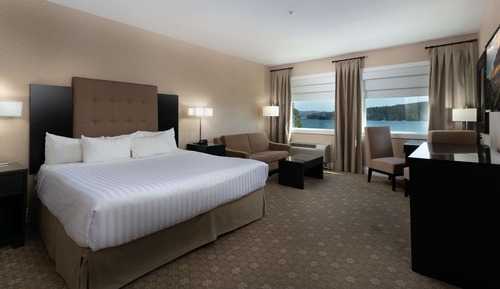 Standard Room, 1 King Bed, Non Smoking (with Sofabed)