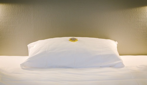 Superior Single Room