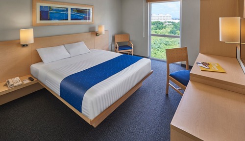 Room, 1 Queen Bed