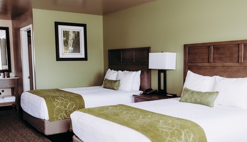 Room, 2 Queen Beds