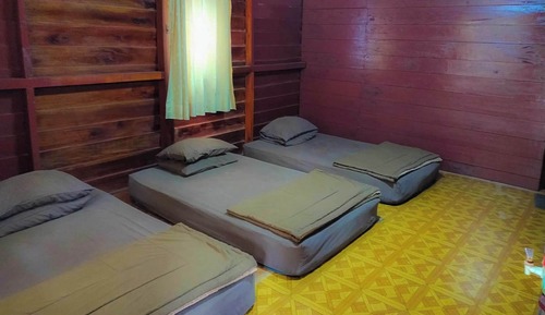 Rimba (Single Bed )