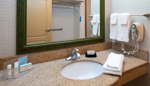 Room, 1 King Bed, Accessible, Non Smoking (Mobility, Roll-In Shower)