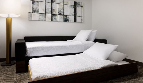 Suite, 1 King Bed with Sofa bed (Mobility/Hearing Access, Roll-In Shwr)