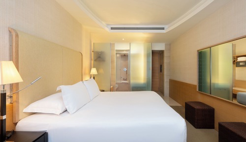 Superior Single Room