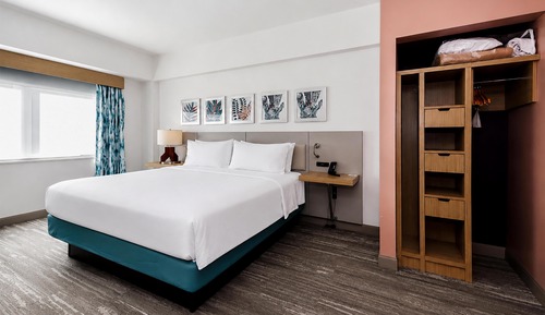 Suite, 1 King Bed with Sofa bed