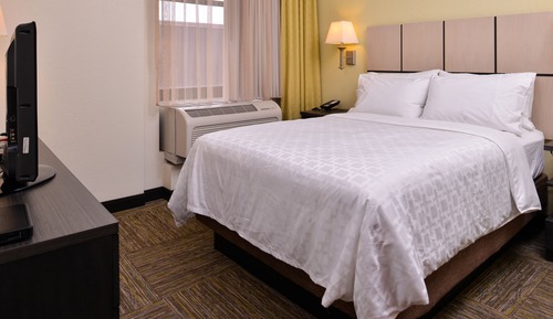 Suite, 1 Bedroom