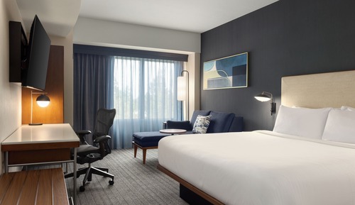 Room, 1 King Bed with Sofa bed (Hearing Accessible)