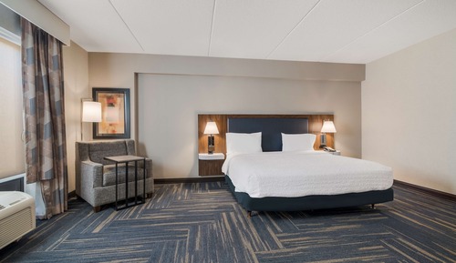 Mobility Accessible King Standard Room