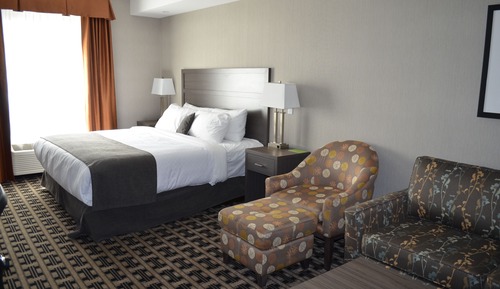 Room, 1 King Bed