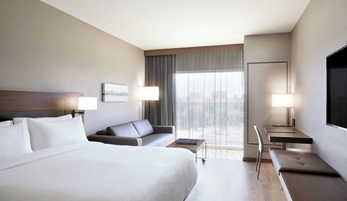 Room, 1 King Bed with Sofa bed, Hearing Accessible