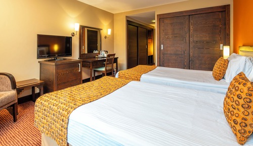 Standard Double Room, Mountain View