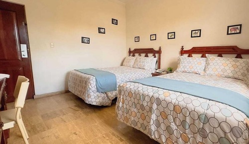 Junior Double Room
