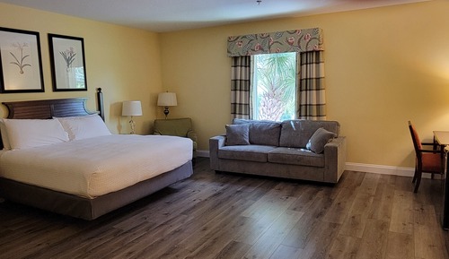 Standard Single Room, Mobility Accessible, Garden View