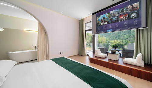 Business Double Room, Mountain View