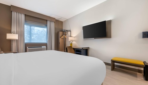 Standard Room, 1 King Bed, Non Smoking