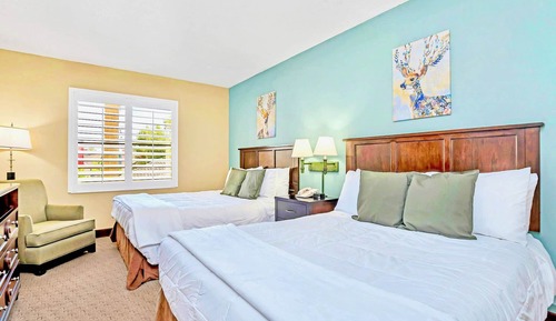 Apartment (1 Bedroom)