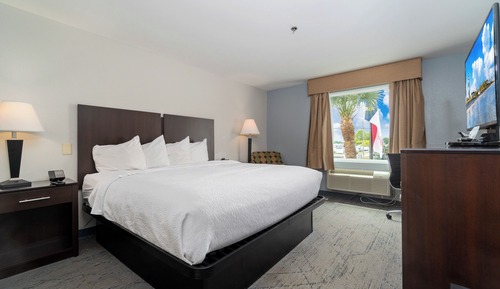 Standard Room, 1 King Bed, Non Smoking, Pet Friendly