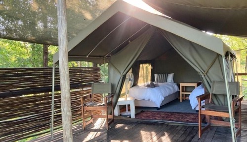 Tent, Mountain View
