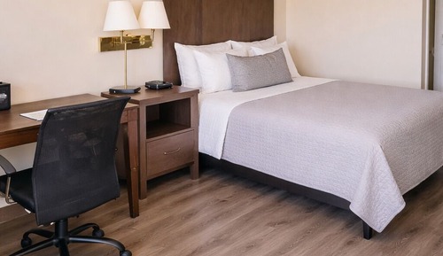 Comfort Suite