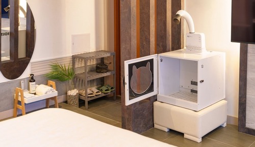 Basic Room, 1 Bedroom (Holy B (Pool Villa/BBQ/Pet Park))