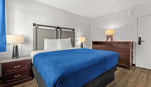 Room, 1 King Bed