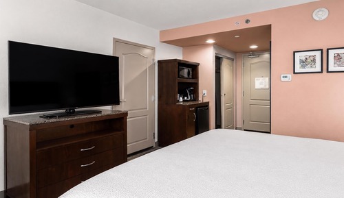 Room, 1 King Bed