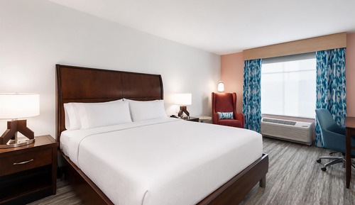 Suite, 1 King Bed