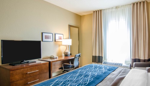 Standard Room, 1 King Bed, Non Smoking