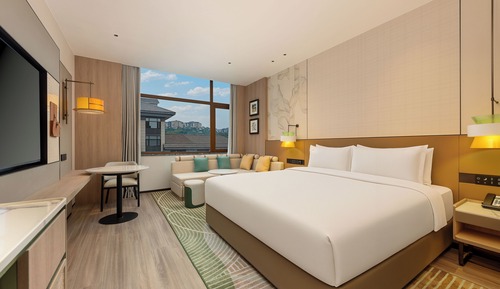 1 King Bed Standard Mountain View