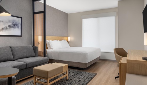 Room, 1 King Bed with Sofa bed (High Floor)
