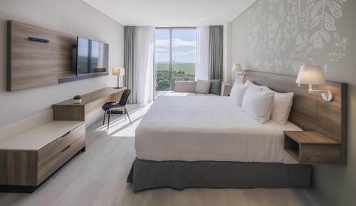 Room, 1 King Bed (Mangrove View)