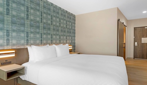 Room, 1 King Bed, Roll-in Shower, Non Smoking