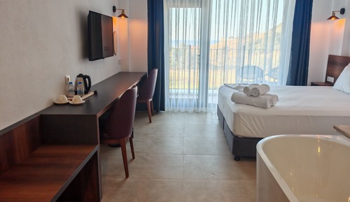 Deluxe Double or Twin Room