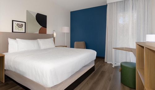 Room, 1 King Bed with Sofa bed (Mobility, Roll-In Shower)