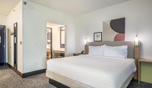 Room, 1 King Bed