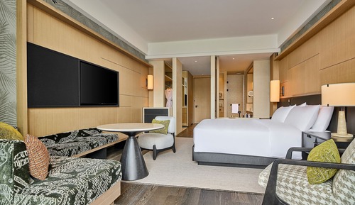 Room, 1 King Bed