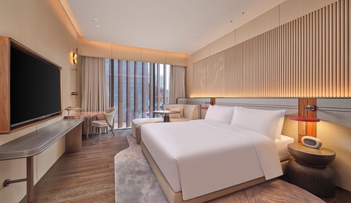 Room, 1 King Bed