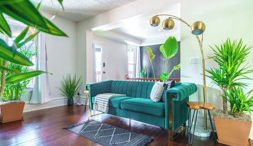 Jungle Casa